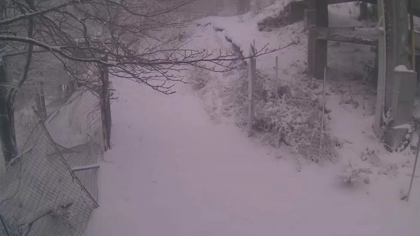 nevicate-avellino-oggi-20-gennaio